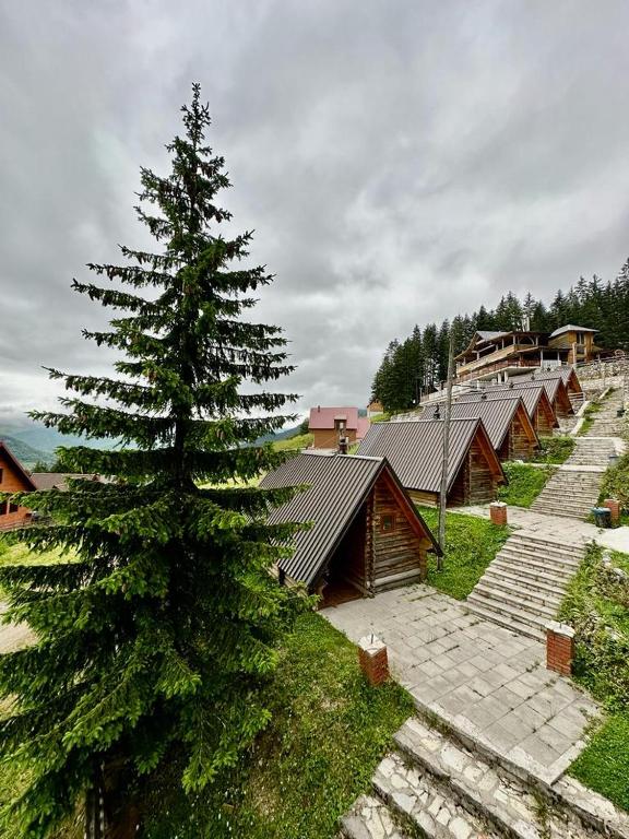 a pine tree in front of a group of buildings at Hotel Te Liqeni in Peje