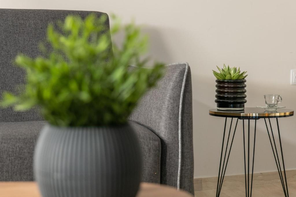 Greyt Apartments Glyfada - 15