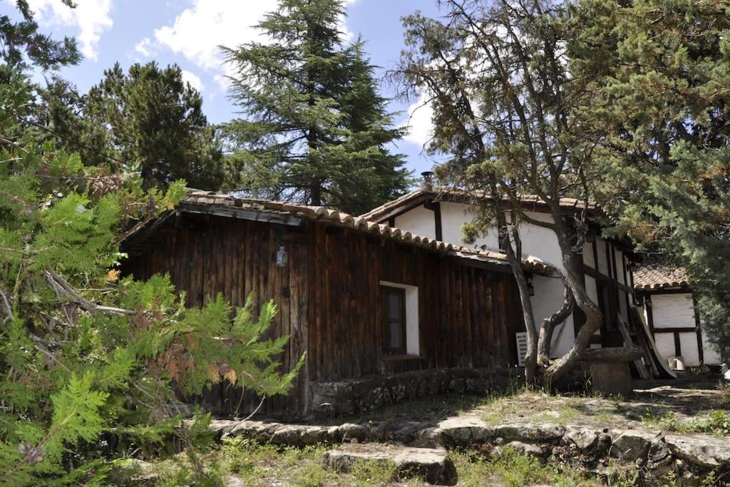 uma casa na floresta com árvores em La cabaña del Burguillo em El Barraco