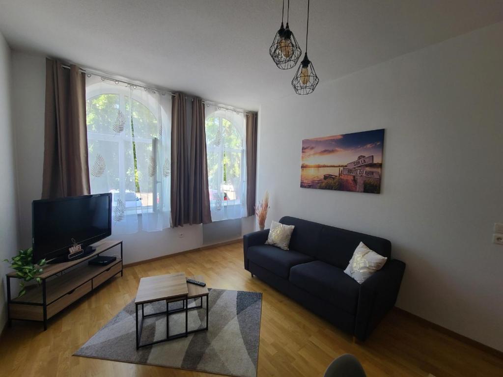 een woonkamer met een bank en een tv bij Sur la Route du Rhin in Vogelsheim