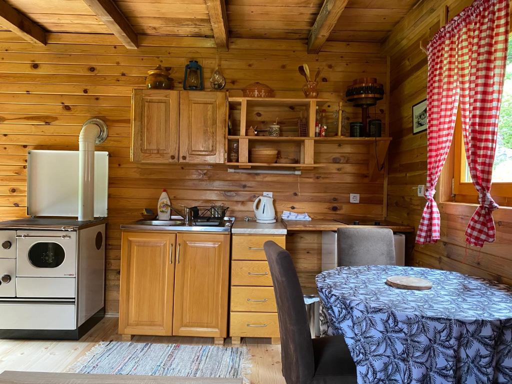 Kuchyň nebo kuchyňský kout v ubytování Holiday Home Milica