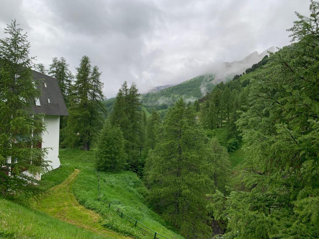 Príroda v okolí apartmánu