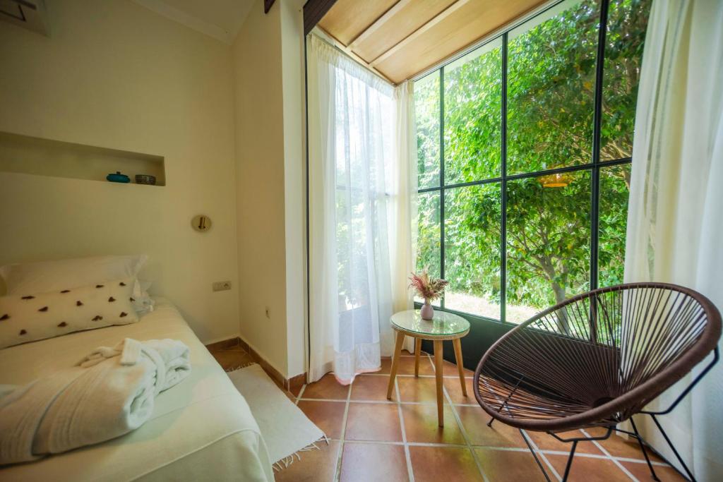 Dar Tanja Boutique Hotel - Habitación Doble Presupuestar