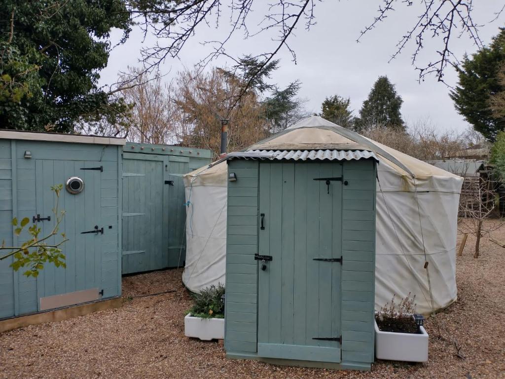 una fila de cobertizos verdes en un jardín en South Wales Yurt-Cosy, log burner & private garden 