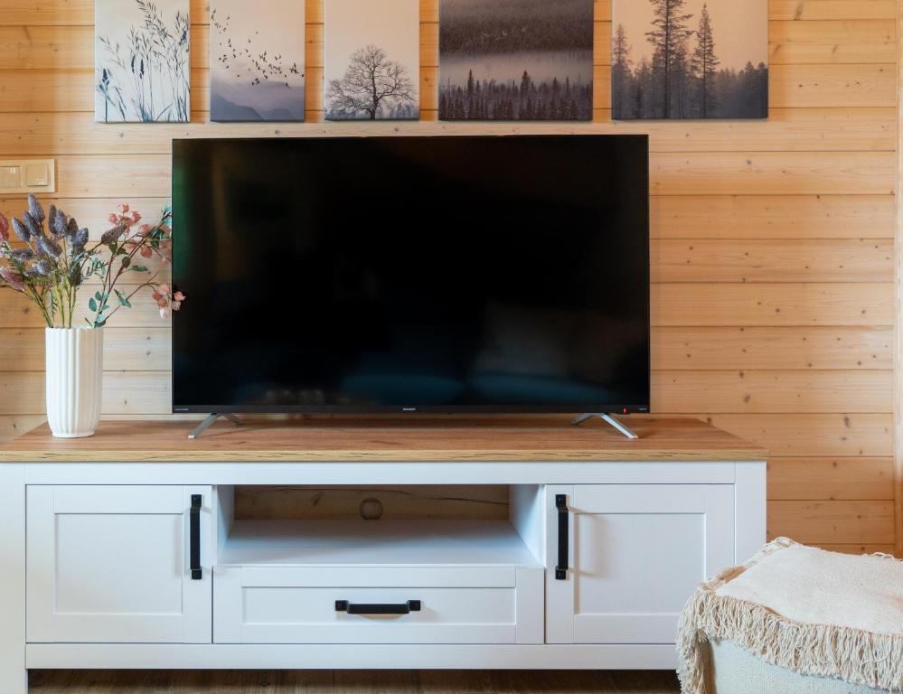TV a/nebo společenská místnost v ubytování Siedlisko Modrej Czapli. Domki na Kaszubach