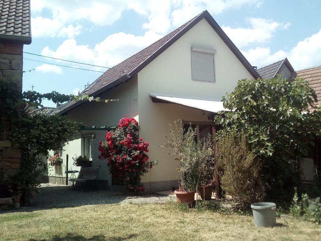 una casa blanca con flores en un patio en Maison au coeur du village, en Dorlisheim