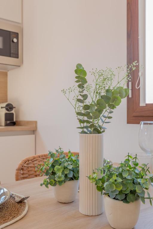 Atico CL centro Granada - 9