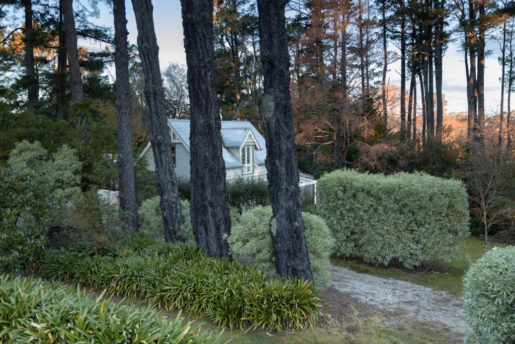 ein weißes Haus im Wald mit Bäumen in der Unterkunft Carramar Coach House, Romantic Falls Retreat in Wentworth Falls