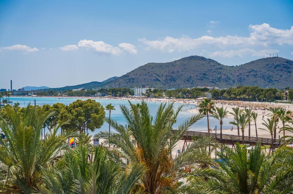 Ideal Property Mallorca - Blue Sky, Alcudia – Precios ...