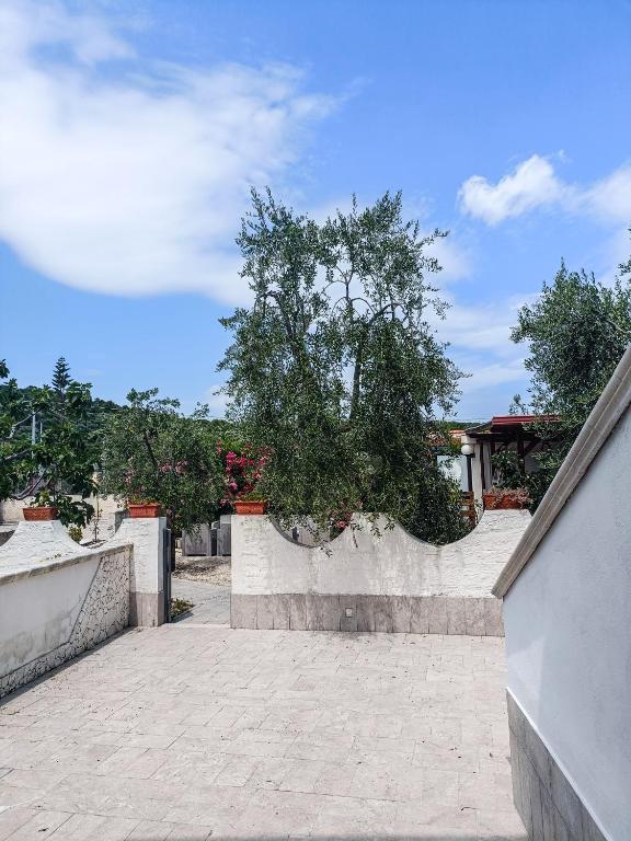 Fotografie z fotogalerie ubytování Il Giunco B&B ve Vieste