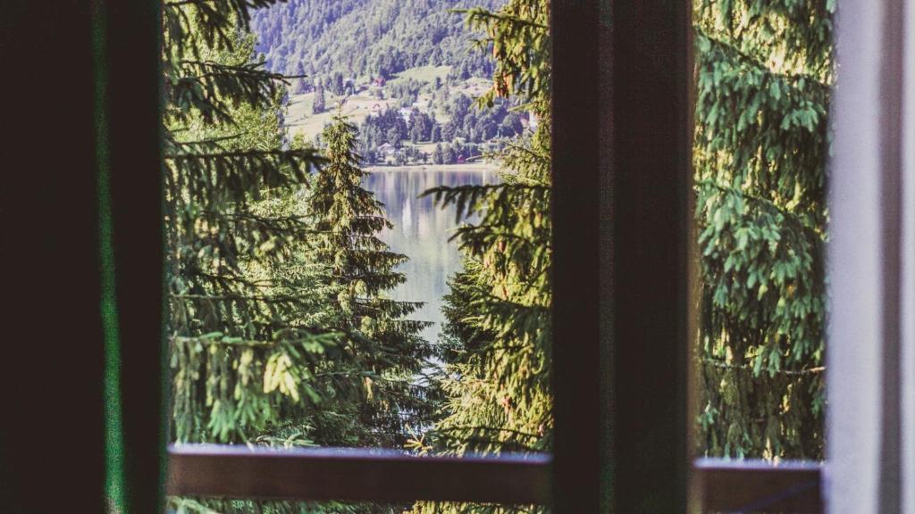 Elle offre une vue sur le lac depuis sa fenêtre. dans l'établissement Casa Laur cu plajă privată, à Colibiţa