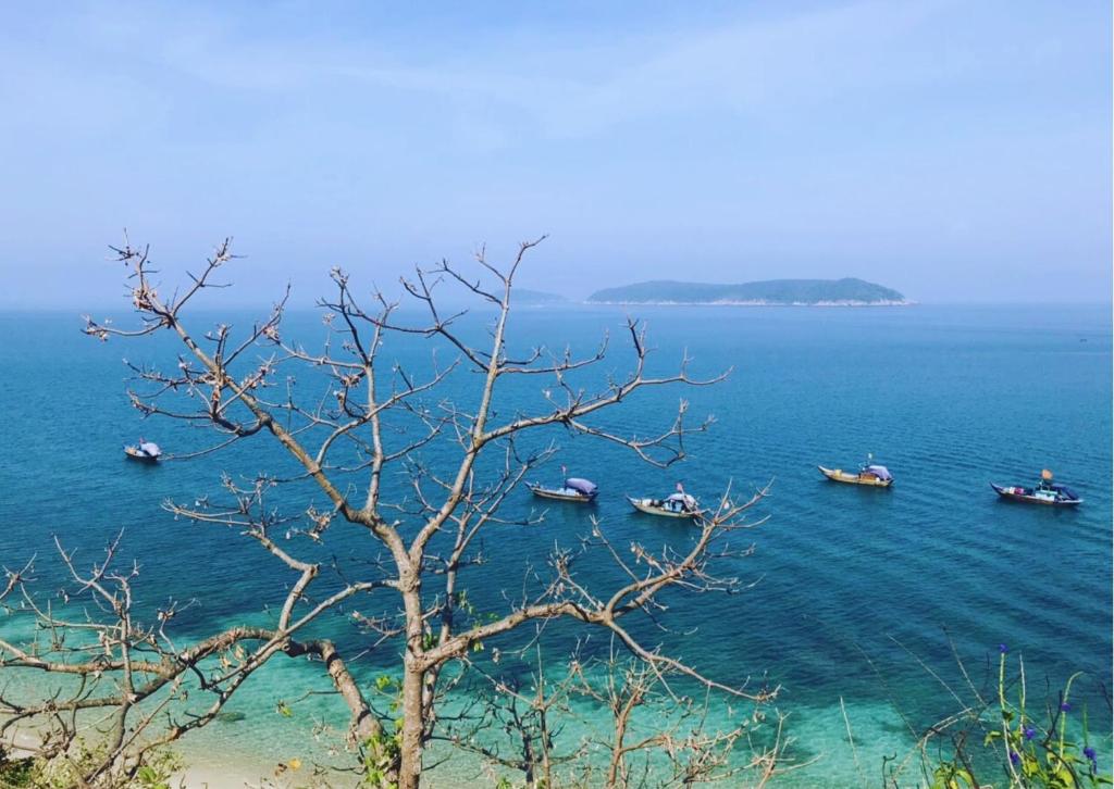 Phong cảnh thiên nhiên gần biệt thự