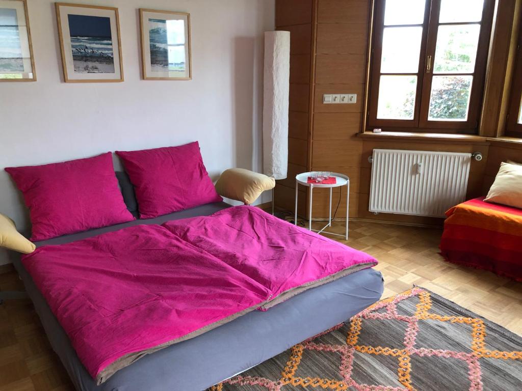 Ferienwohnung am Donauradwanderweg - Апартаменты с видом на сад