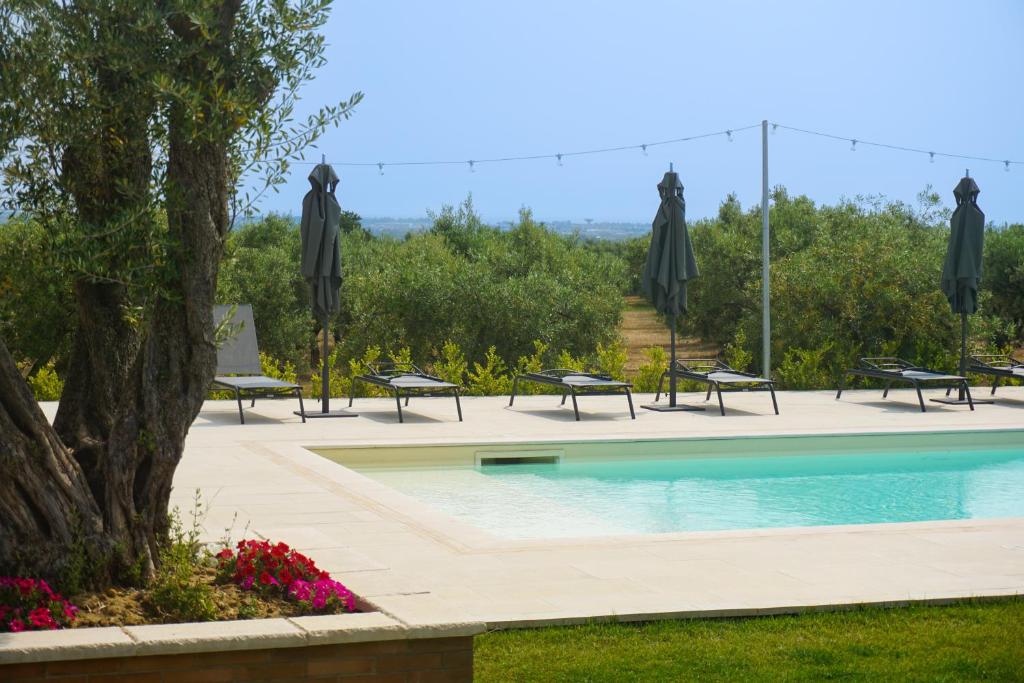 a swimming pool with umbrellas and chairs and a tree at Agriturismo Casacchella in San Nico