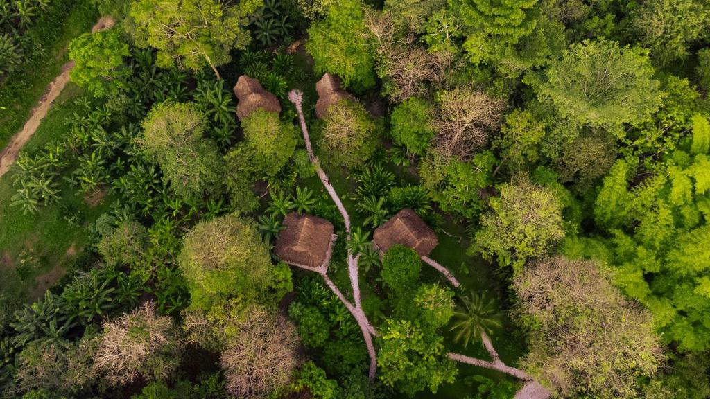an aerial view of a forest with trees at Salvia Madre Hotel Boutique in Guachaca