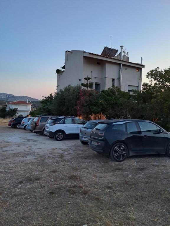 Příroda nedaleko apartmánu