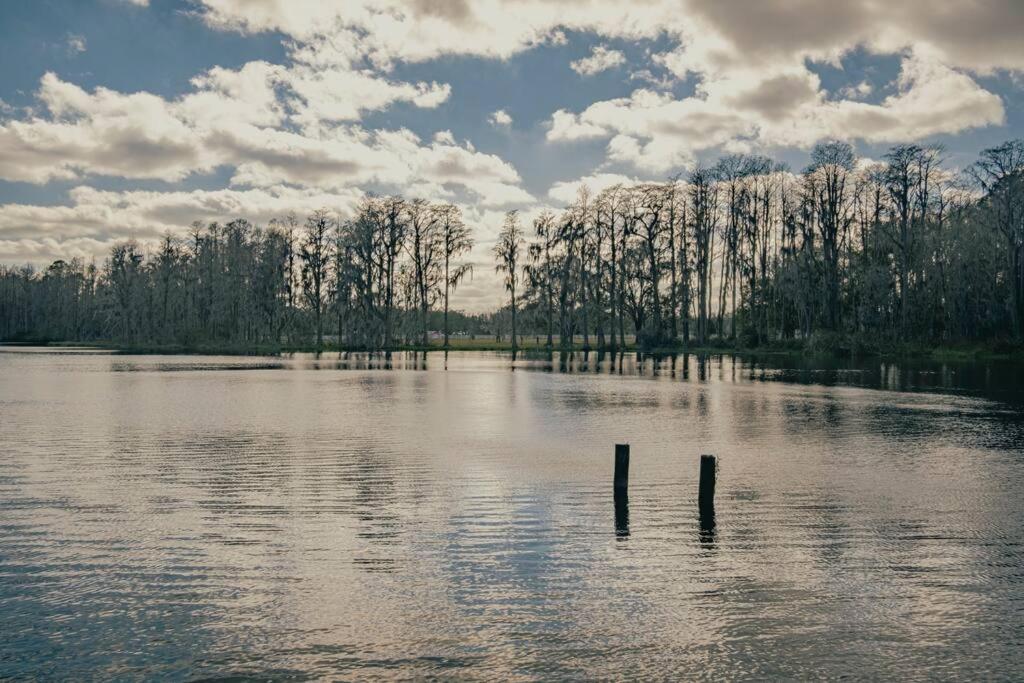 uma grande massa de água com árvores ao fundo em The Lake House (Tampa / LUTZ area) em Lutz