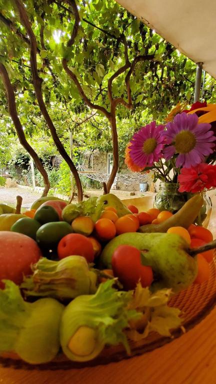 Jardí fora de Guesthouse Mtkvari