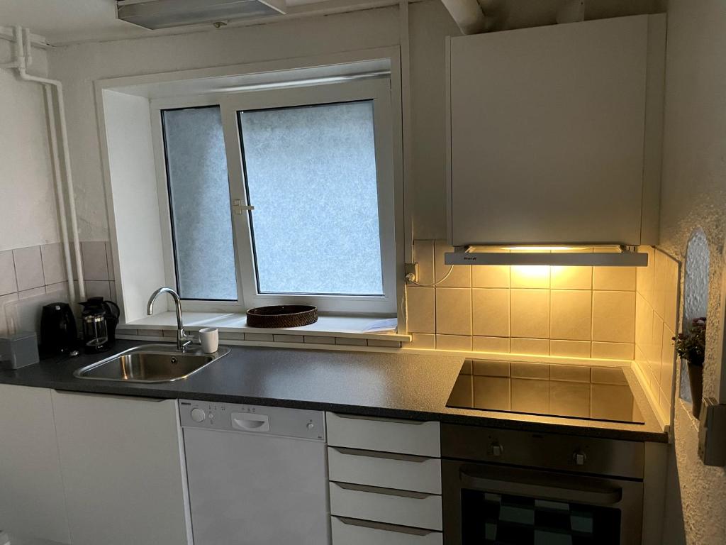 Elle comprend une petite cuisine avec un évier et une fenêtre. dans l'établissement Udbyhøjvejens overnatning, à Randers