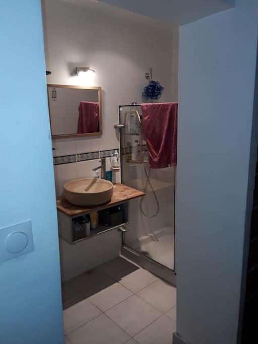 a bathroom with a sink and a shower at Charmante villa équipée, piscine in Le Soler