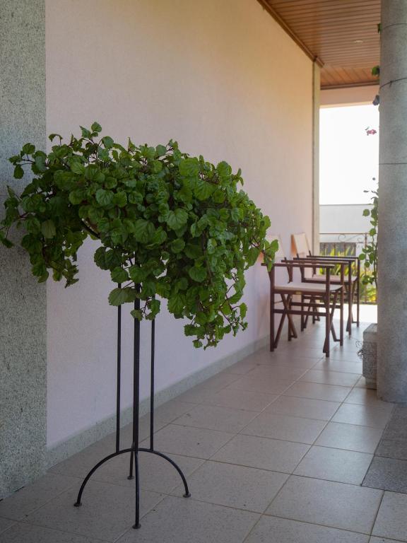 Balkón nebo terasa v ubytování Quarto em Viana do Castelo