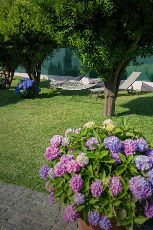 Zahrada ubytování Quarto em Viana do Castelo