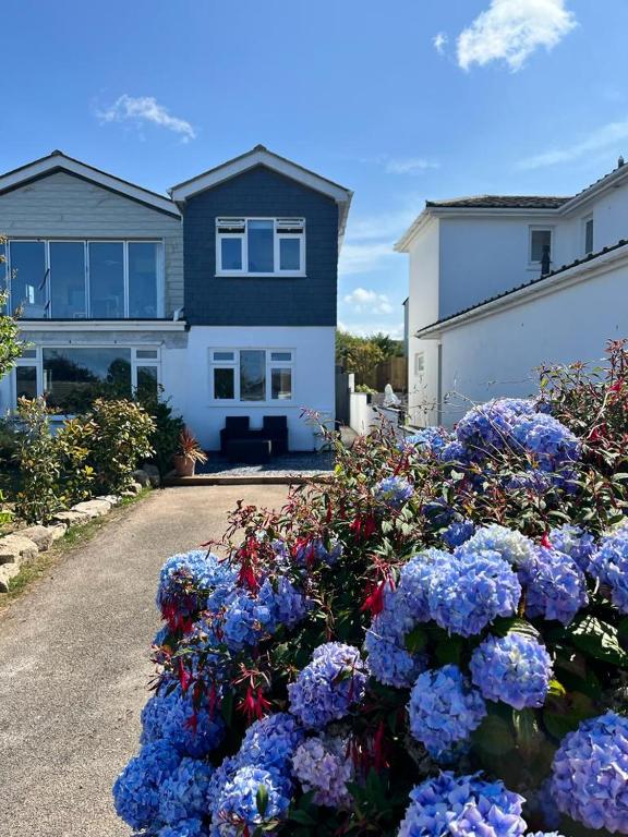 a bunch of blue flowers in front of a house at Godrevy Lighthouse View, Carbis Bay, St Ives, free parking, sea view in Carbis Bay