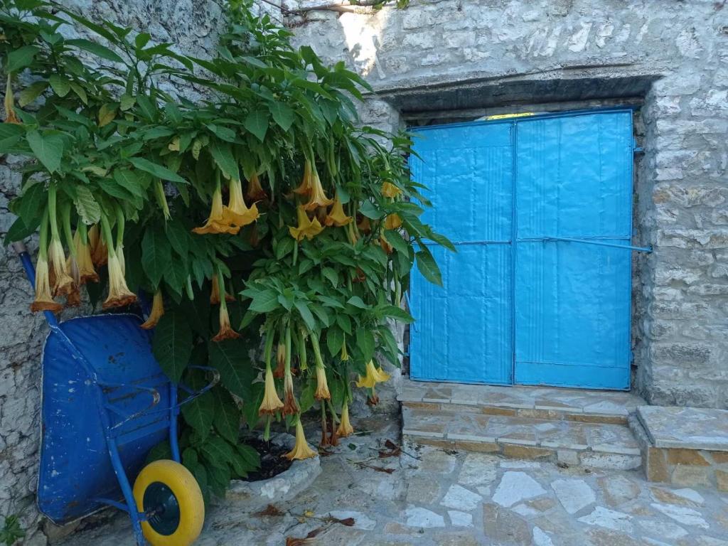 Una porta blu con un mucchio di banane appese ad un albero di Vintage Mediterranean house a Himare