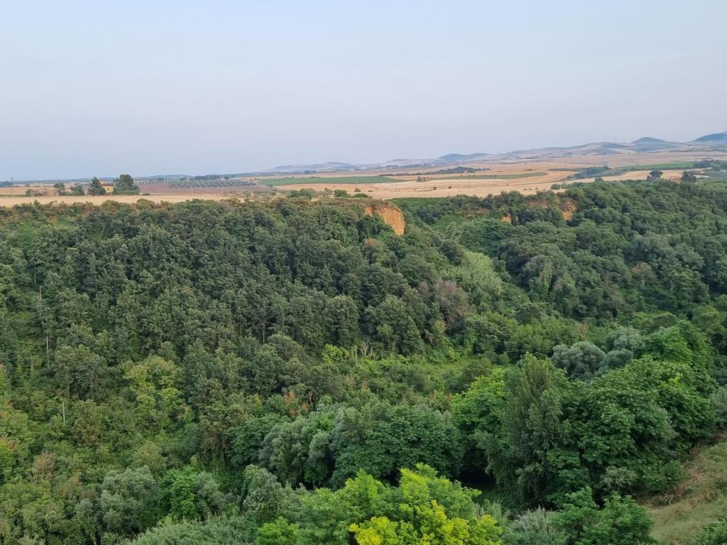 Příroda nedaleko bed and breakfast
