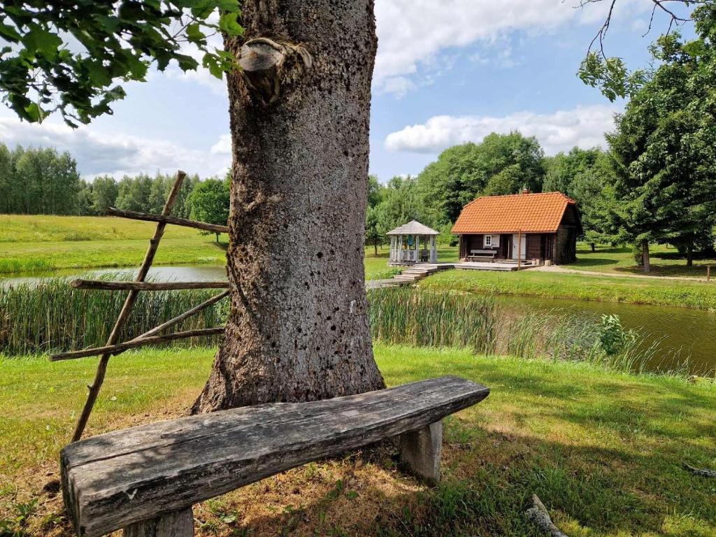 Příroda nedaleko chaty