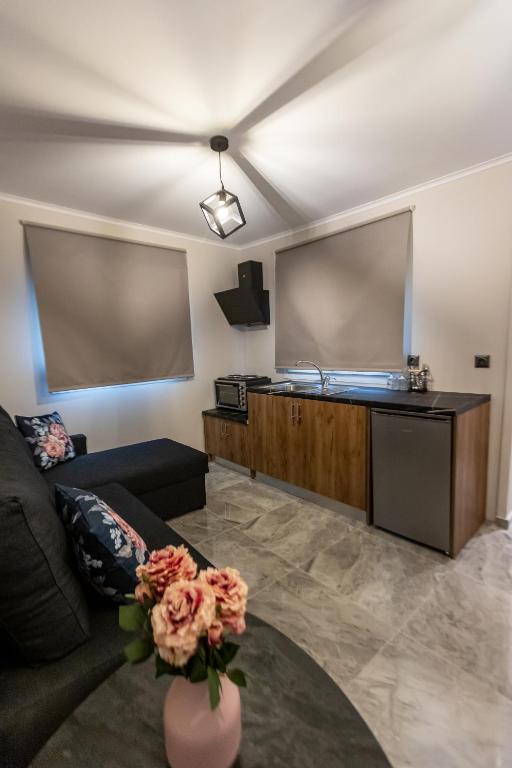 Kuchyň nebo kuchyňský kout v ubytování K&M Villas
