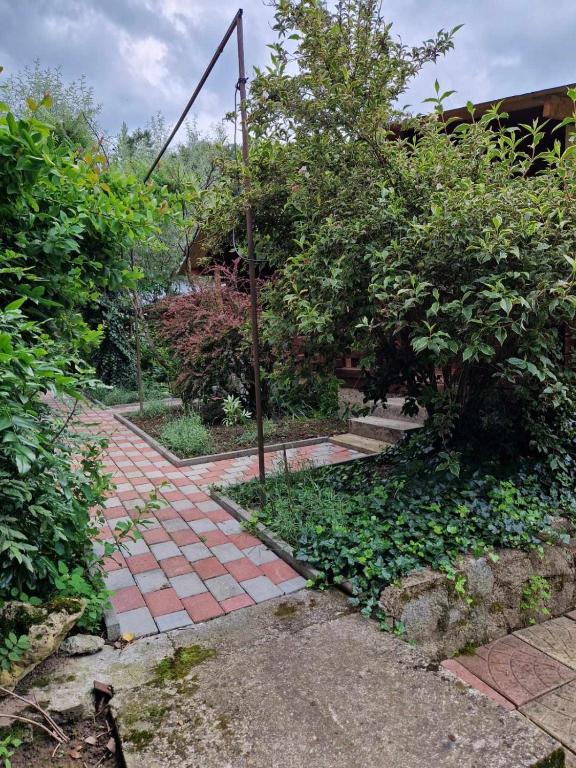 Zahrada ubytování Casa Jan B.
