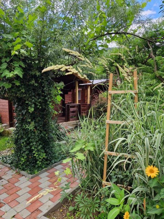 Zahrada ubytování Casa Jan B.