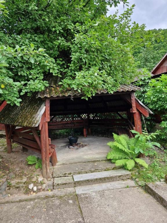 Zahrada ubytování Casa Jan B.