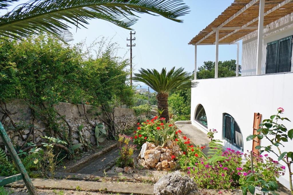 Zahrada ubytování Dimora Storica Villa Pasquale Capri