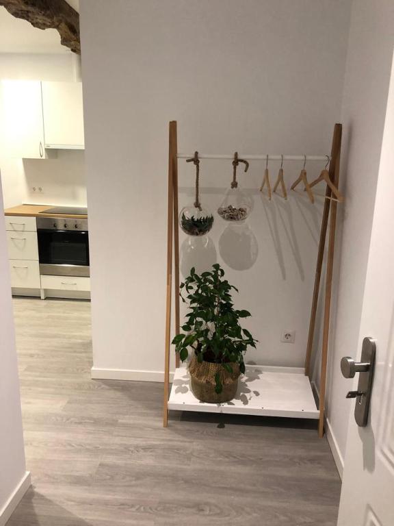a kitchen with a potted plant on a shelf at Apartamento centro Santander A in Santander