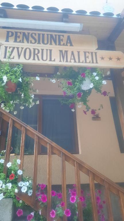 Izvorul Maleii - Housity