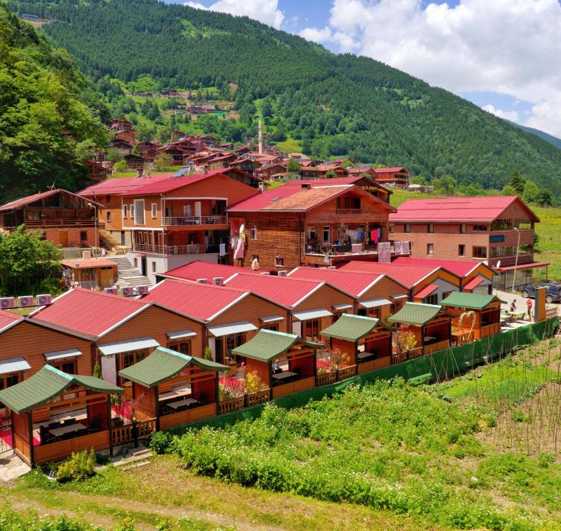 een groep huizen met rode daken op een heuvel bij Çakıroğlu Villa Kent in Uzungol
