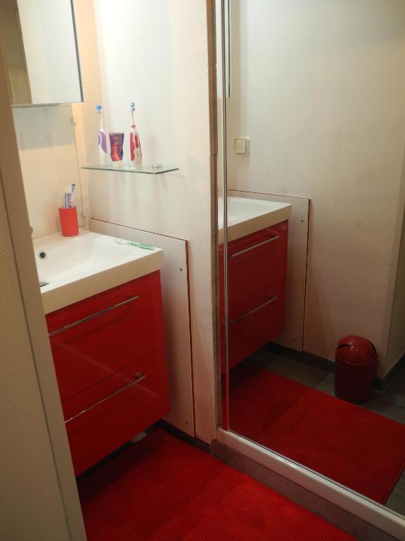 bagno con doccia, lavandino e specchio di Apt Standing Bordeaux Chartrons a Bordeaux