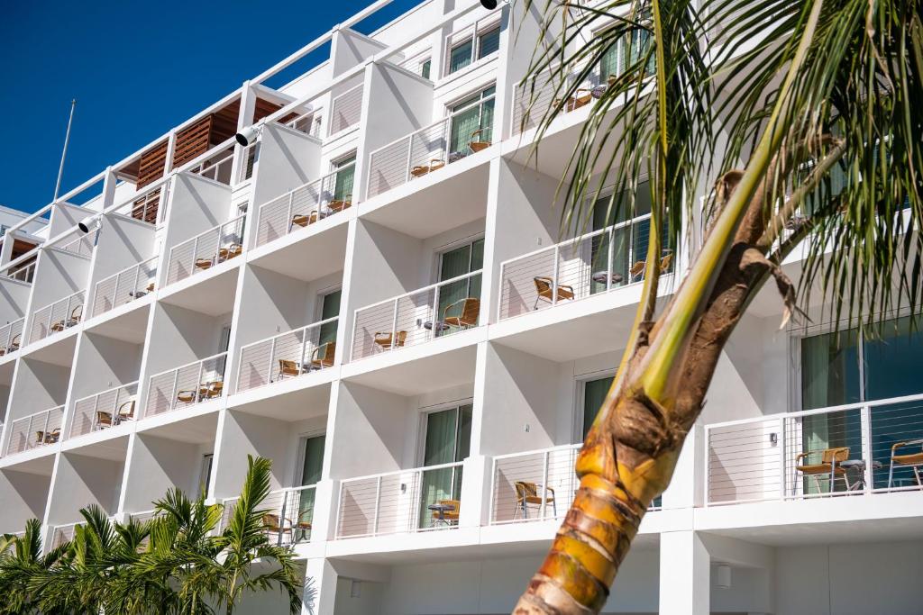 a white building with a palm tree in front of it at The Sarasota Modern, a Tribute Portfolio Hotel in Sarasota