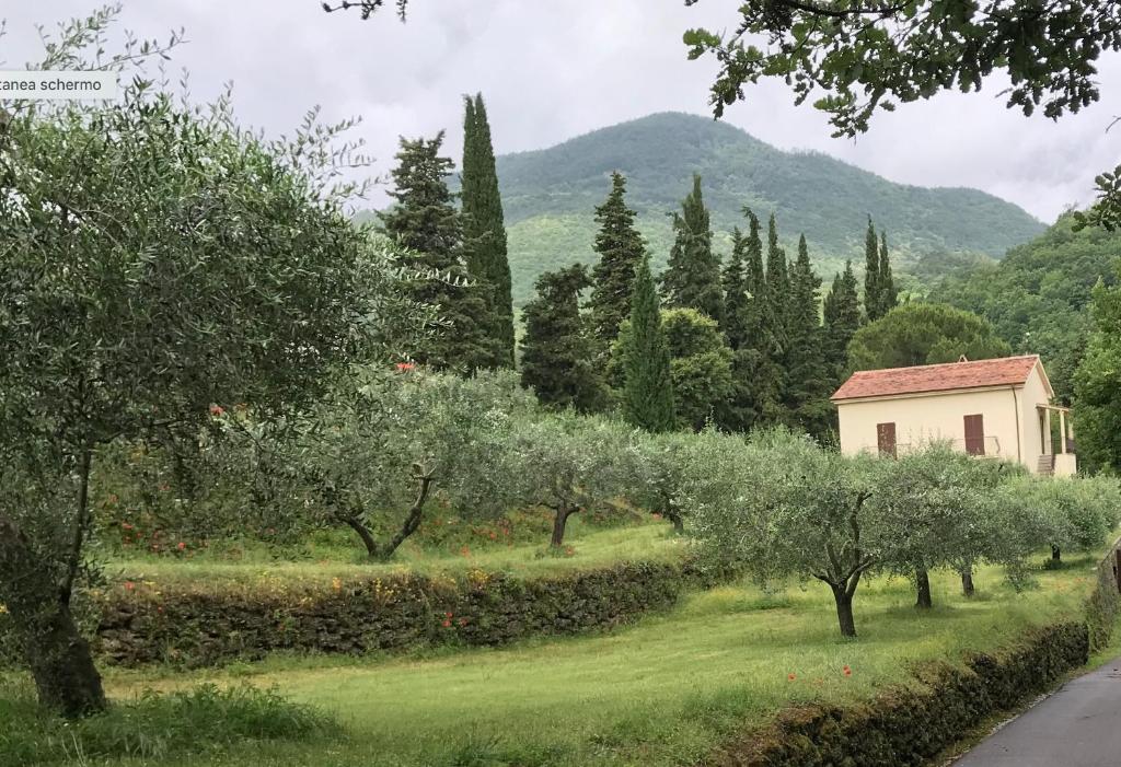 un jardín con árboles, un edificio y una montaña en Podere San Biagio en Bagni San Filippo