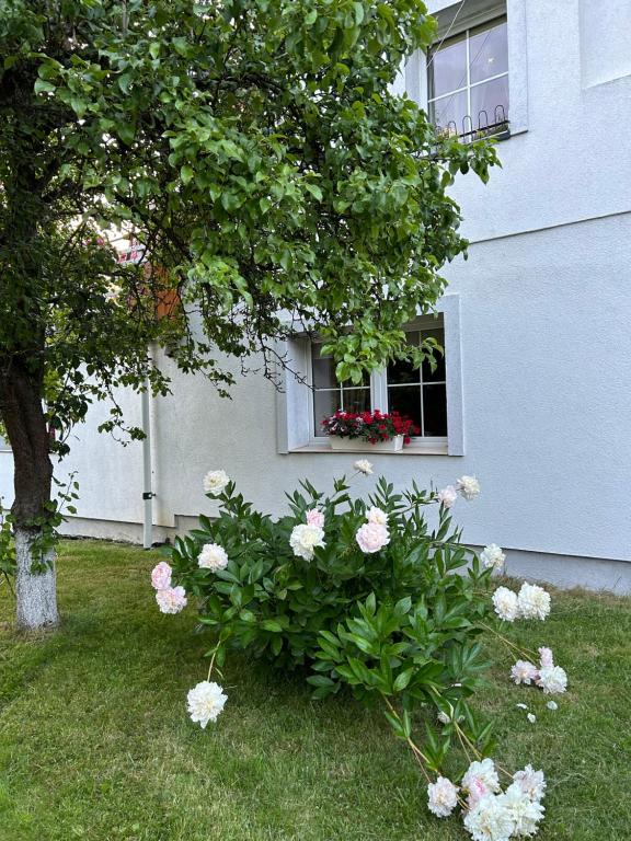 Ogród w obiekcie Apartamenty Stokrotka