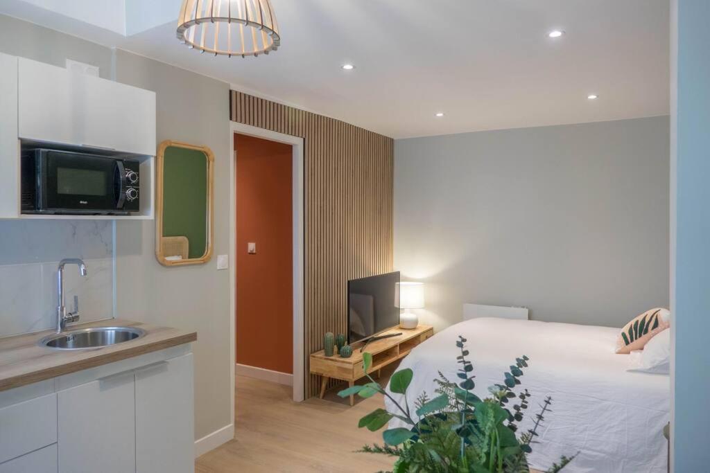 - une chambre avec un lit, un lavabo et une télévision dans l'établissement Bel appartement idéalement situé, à Orléans