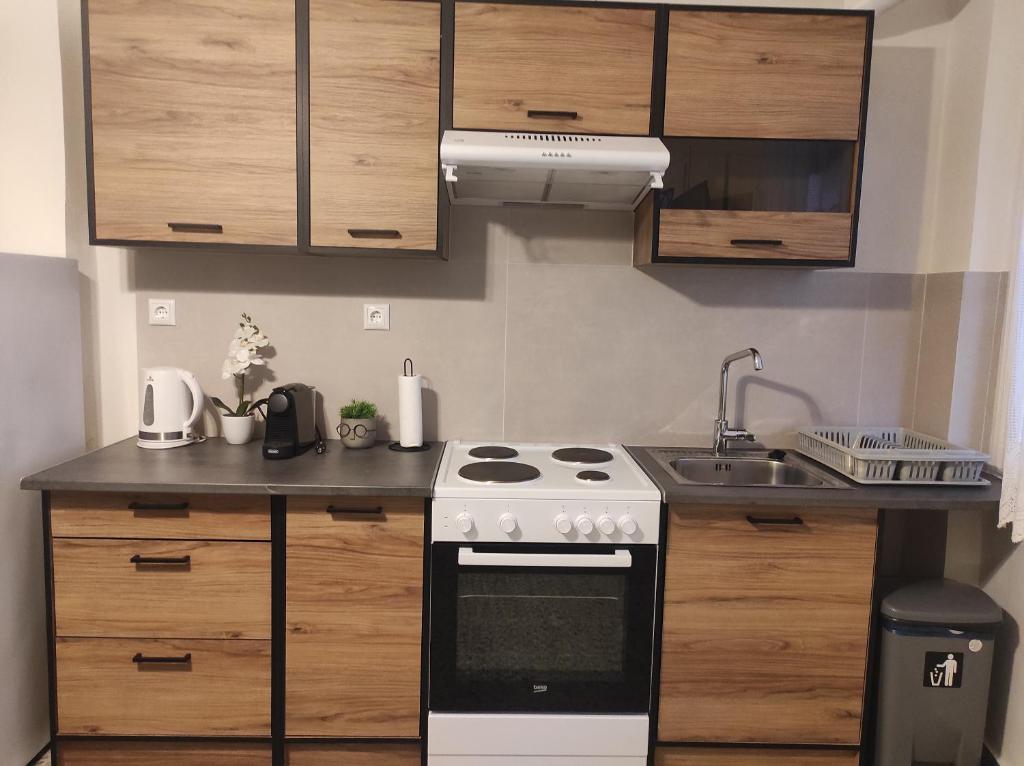 Kuchyň nebo kuchyňský kout v ubytování Aurora nest