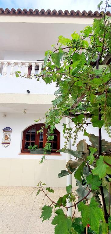 Fotografie z fotogalerie ubytování Villa Magdalena v destinaci Las Palmas de Gran Canaria
