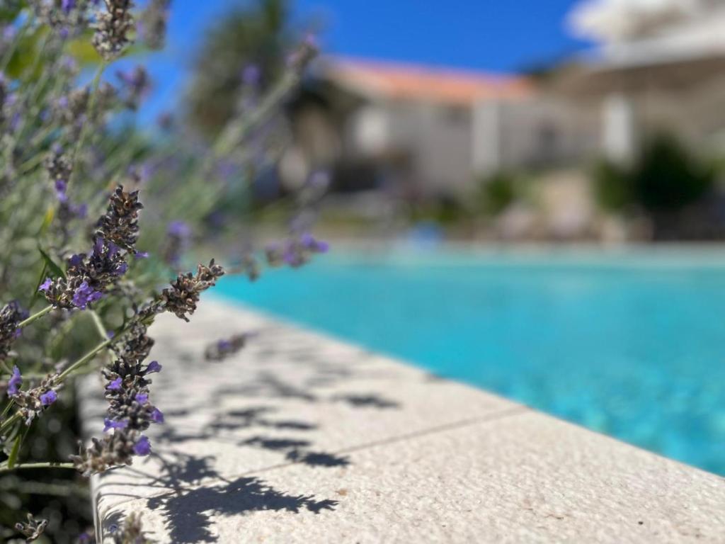 Apartments and Rooms Mateša - 13