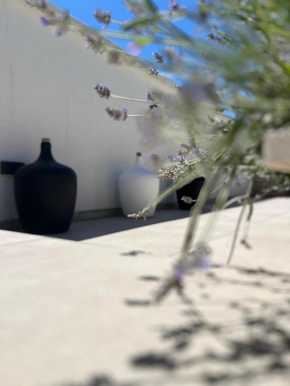 Apartments and Rooms Mateša - 12