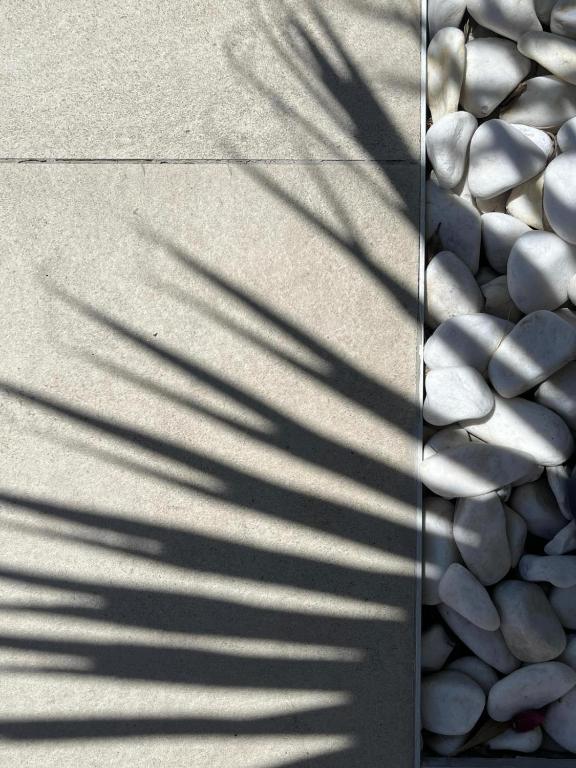 Apartments and Rooms Mateša - 10