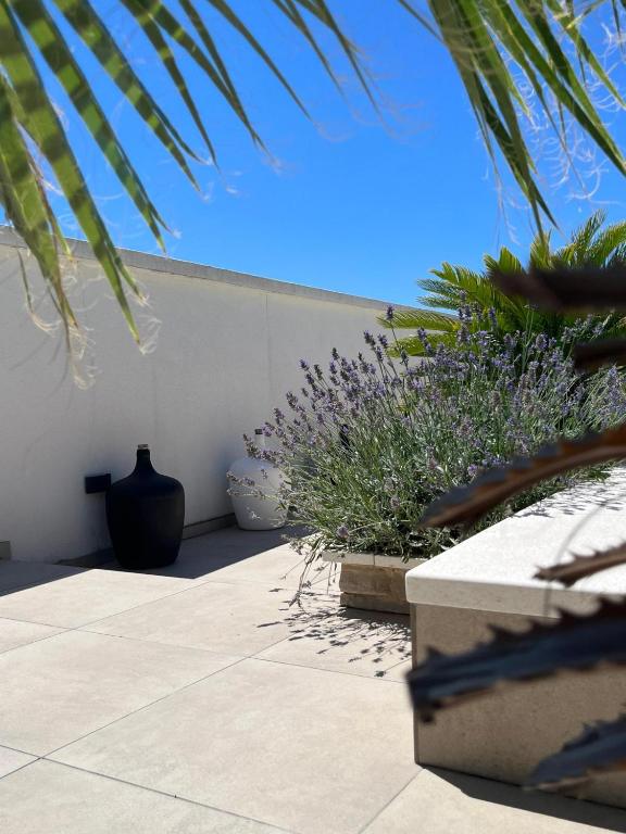 Apartments and Rooms Mateša - 9