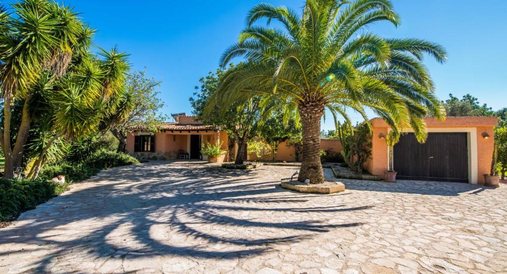 uma entrada com palmeiras em frente a uma casa em Finca Ferragut em Artà